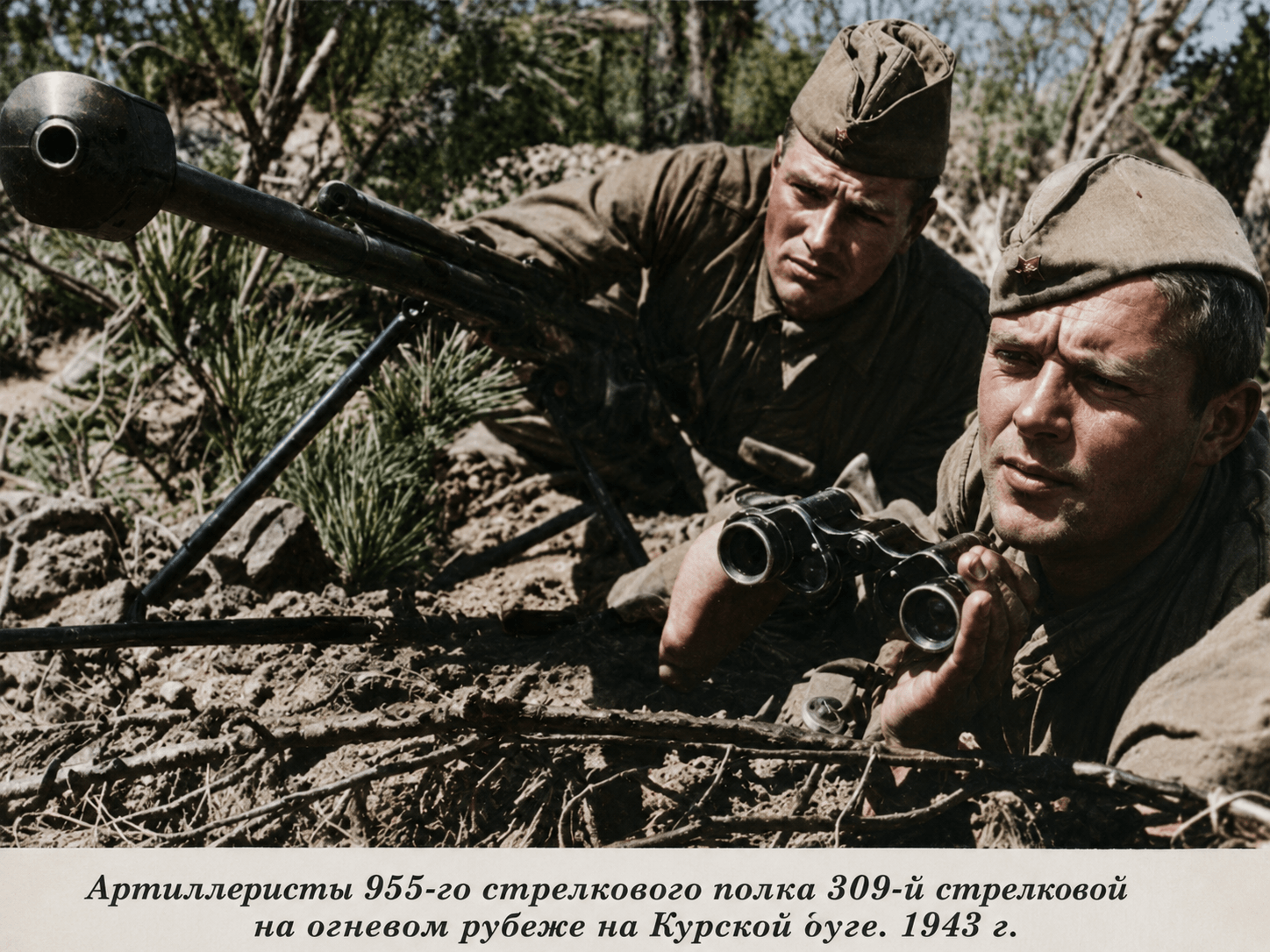 Курская дуга